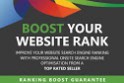 I Will Search Engine Optimize Your Website