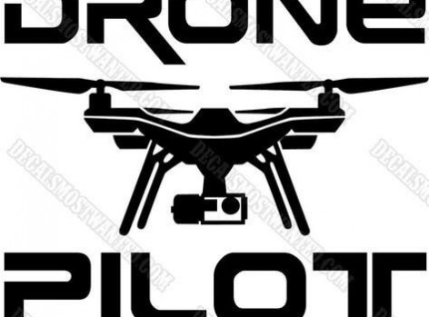 Drone pilot