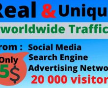 I will send 20,000 web traffic worldwide for 5 dollar
