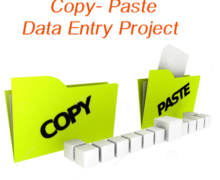 I will do data entry job and copy paste